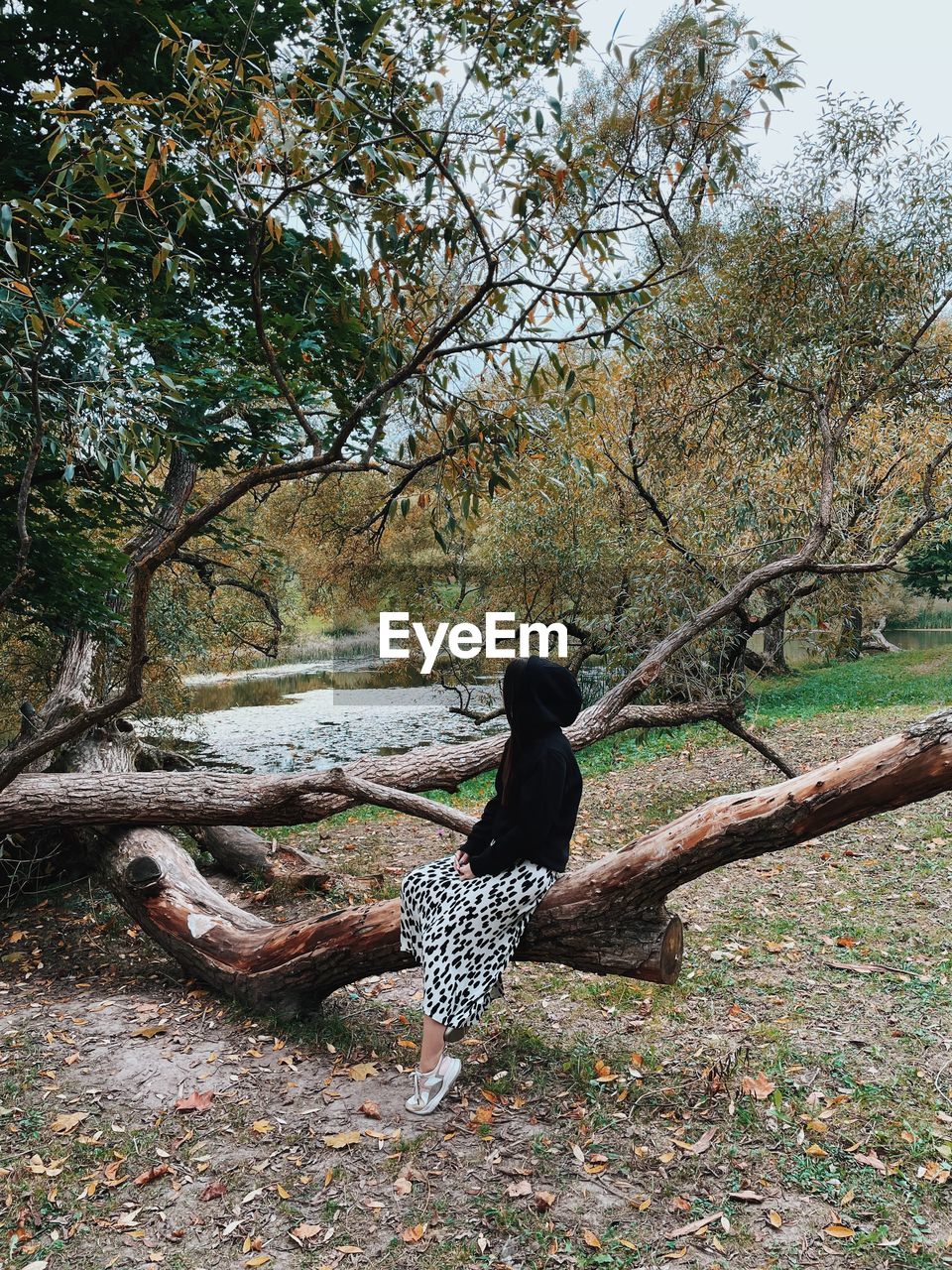 Young woman sitting on tree trunk at park