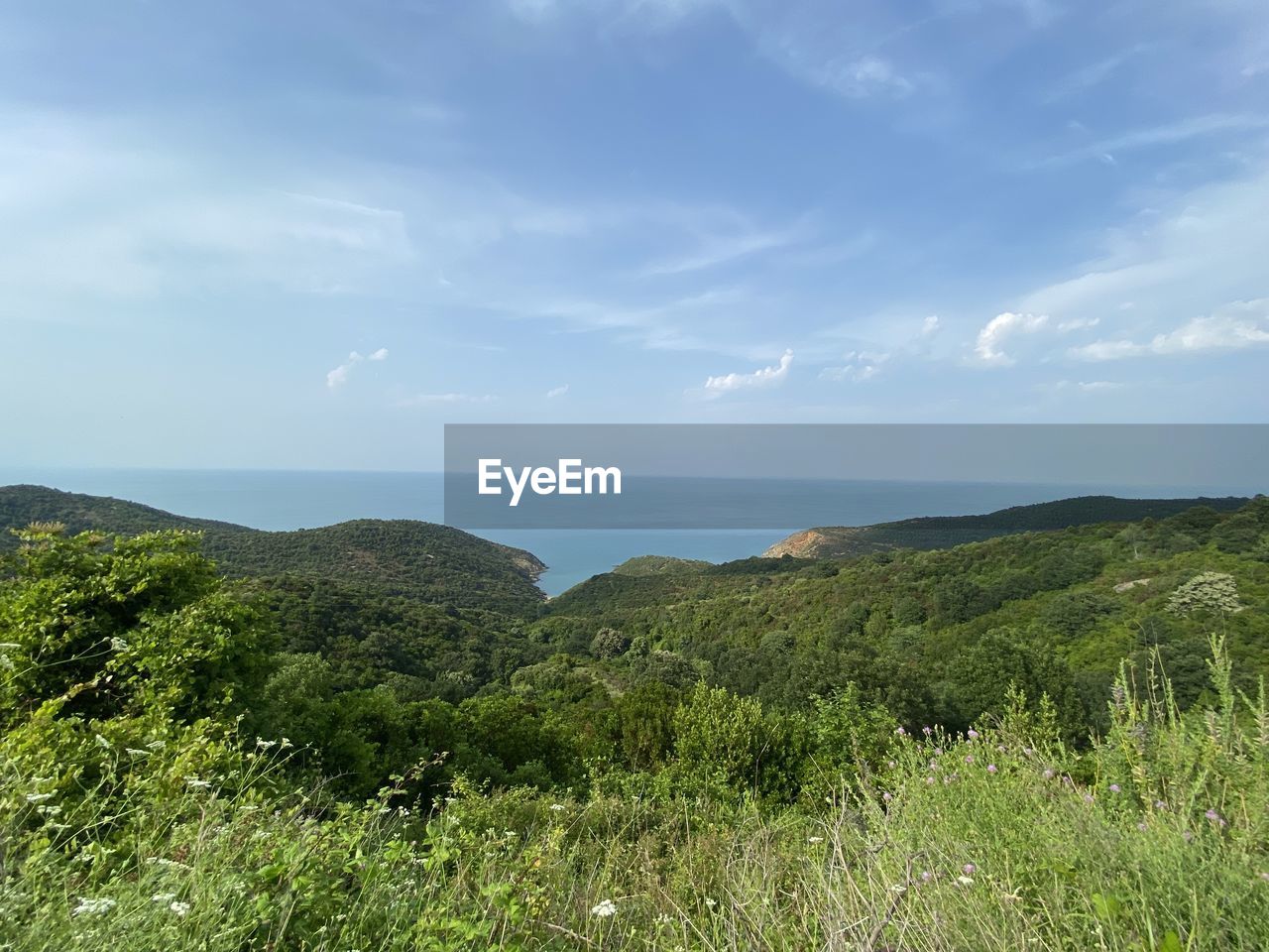 sky, plant, beauty in nature, scenics - nature, hill, land, cloud, nature, grass, environment, landscape, tranquility, sea, natural environment, green, tranquil scene, water, grassland, no people, meadow, coast, growth, day, horizon, non-urban scene, ridge, tree, outdoors, rural area, wilderness, horizon over water, idyllic, travel, field, travel destinations, tourism, plateau, beach, terrain