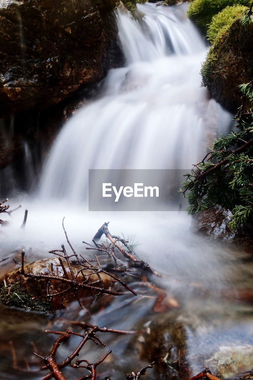 Majestic view of waterfall in forest