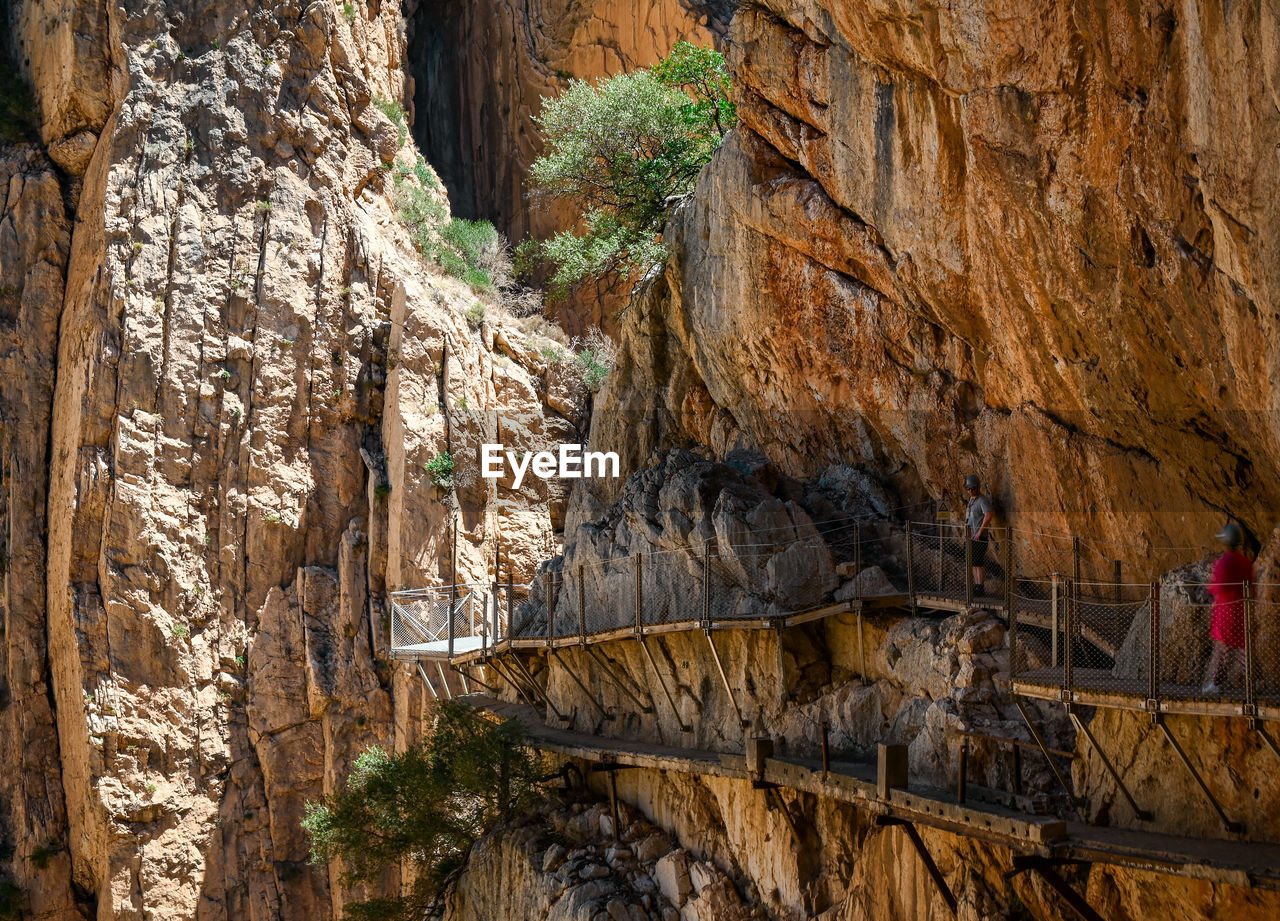 rock, rock formation, nature, formation, geology, tree, travel, travel destinations, land, plant, day, mountain, outdoors, physical geography, beauty in nature, non-urban scene, cliff, no people, cave, architecture, terrain, canyon, tourism, wadi, history