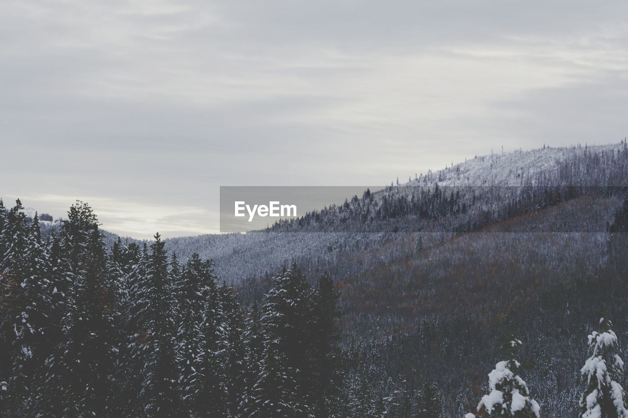 Scenic view of snow covered land against sky