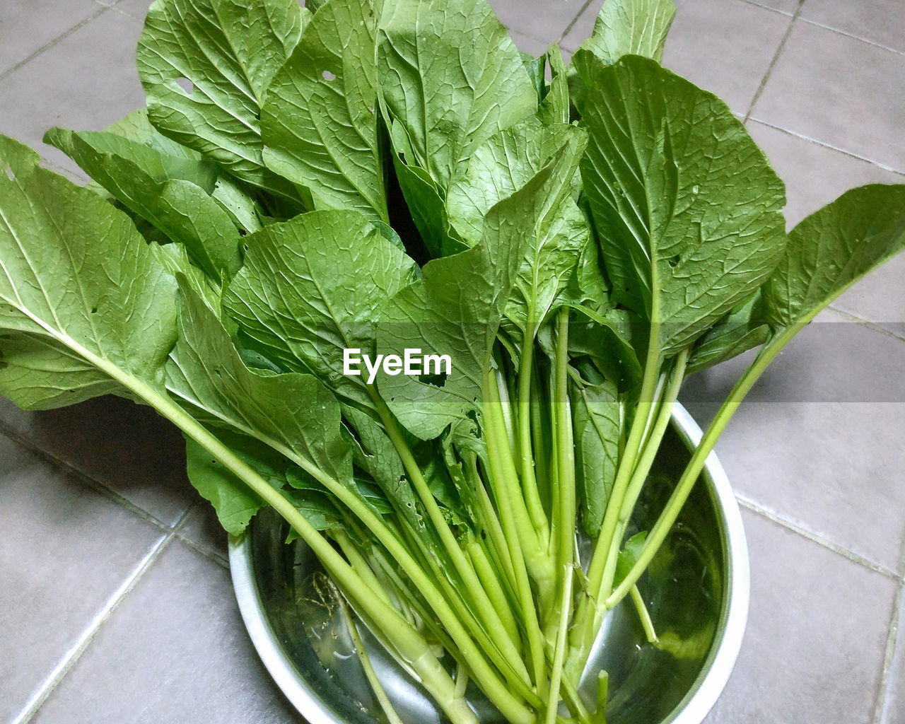 High angle view of leaf vegetables in bowl