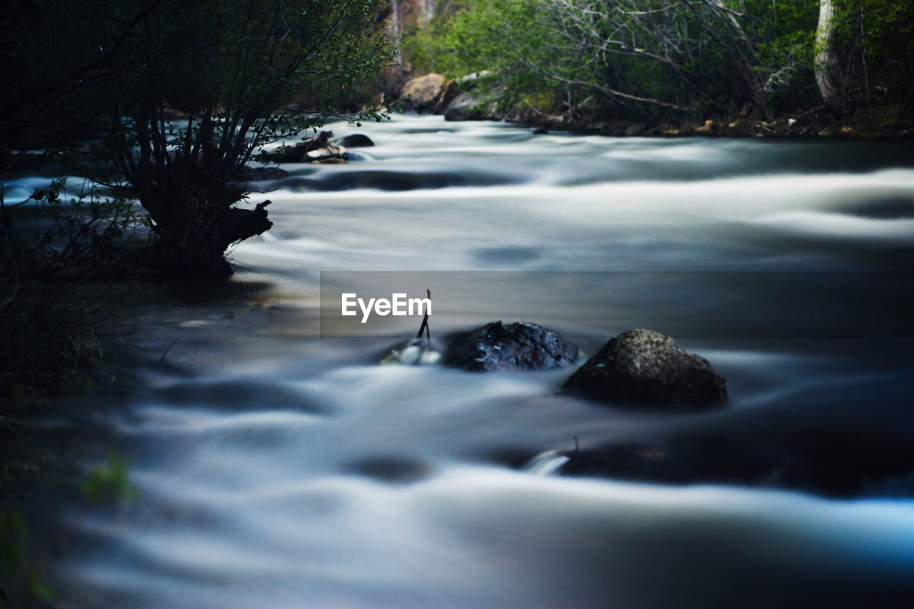 nature, water, river, tree, beauty in nature, plant, scenics - nature, long exposure, forest, rapid, land, reflection, stream, motion, environment, no people, tranquility, rock, flowing water, outdoors, body of water, waterfall, blurred motion, tranquil scene, creek, landscape, flowing, darkness, day, non-urban scene, leaf, water feature, idyllic