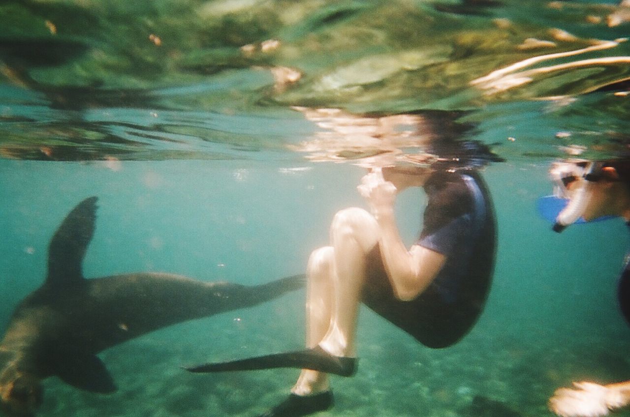 LOW SECTION OF PERSON SWIMMING IN FISH UNDERWATER