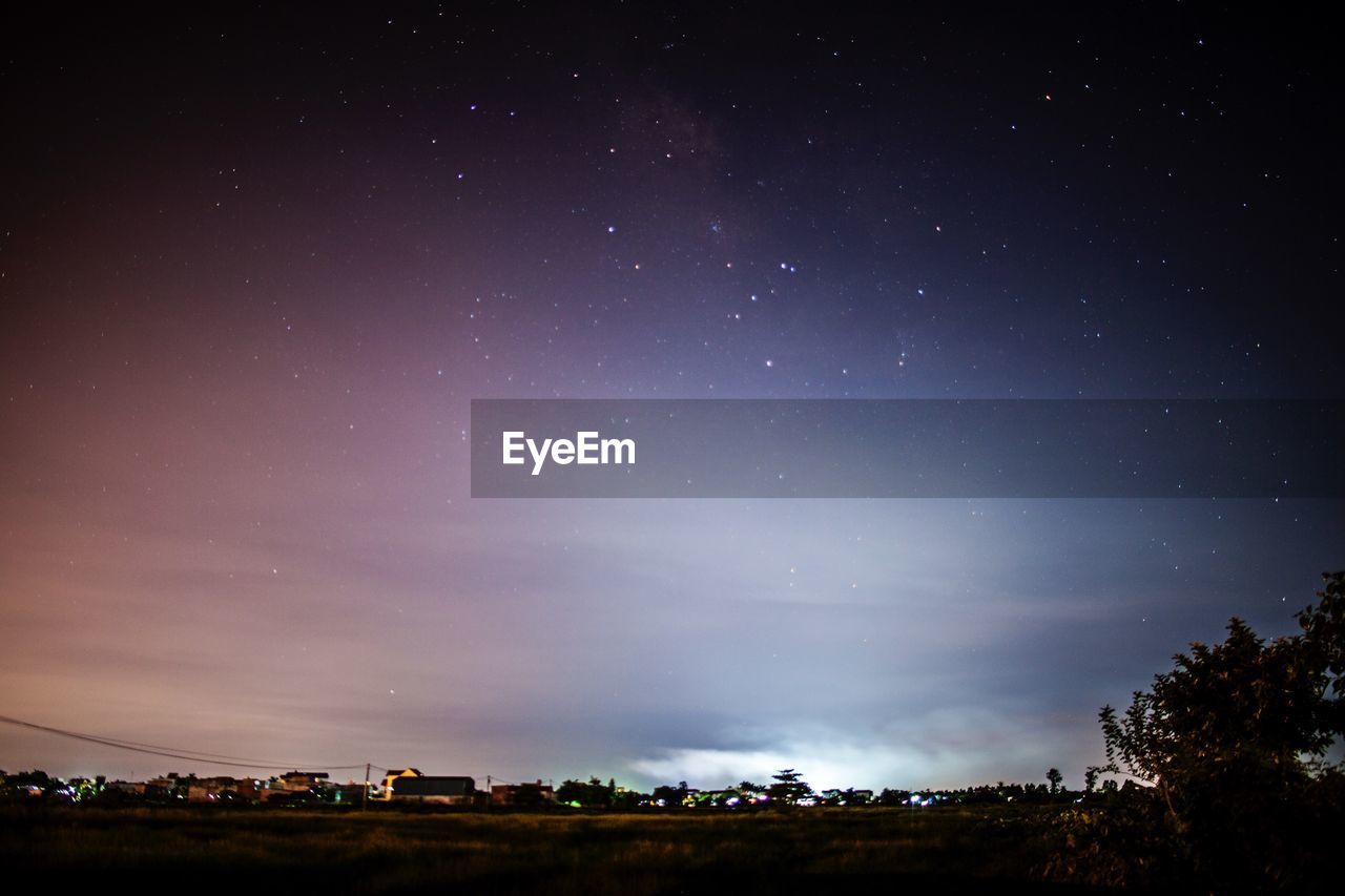 Trees against sky at night