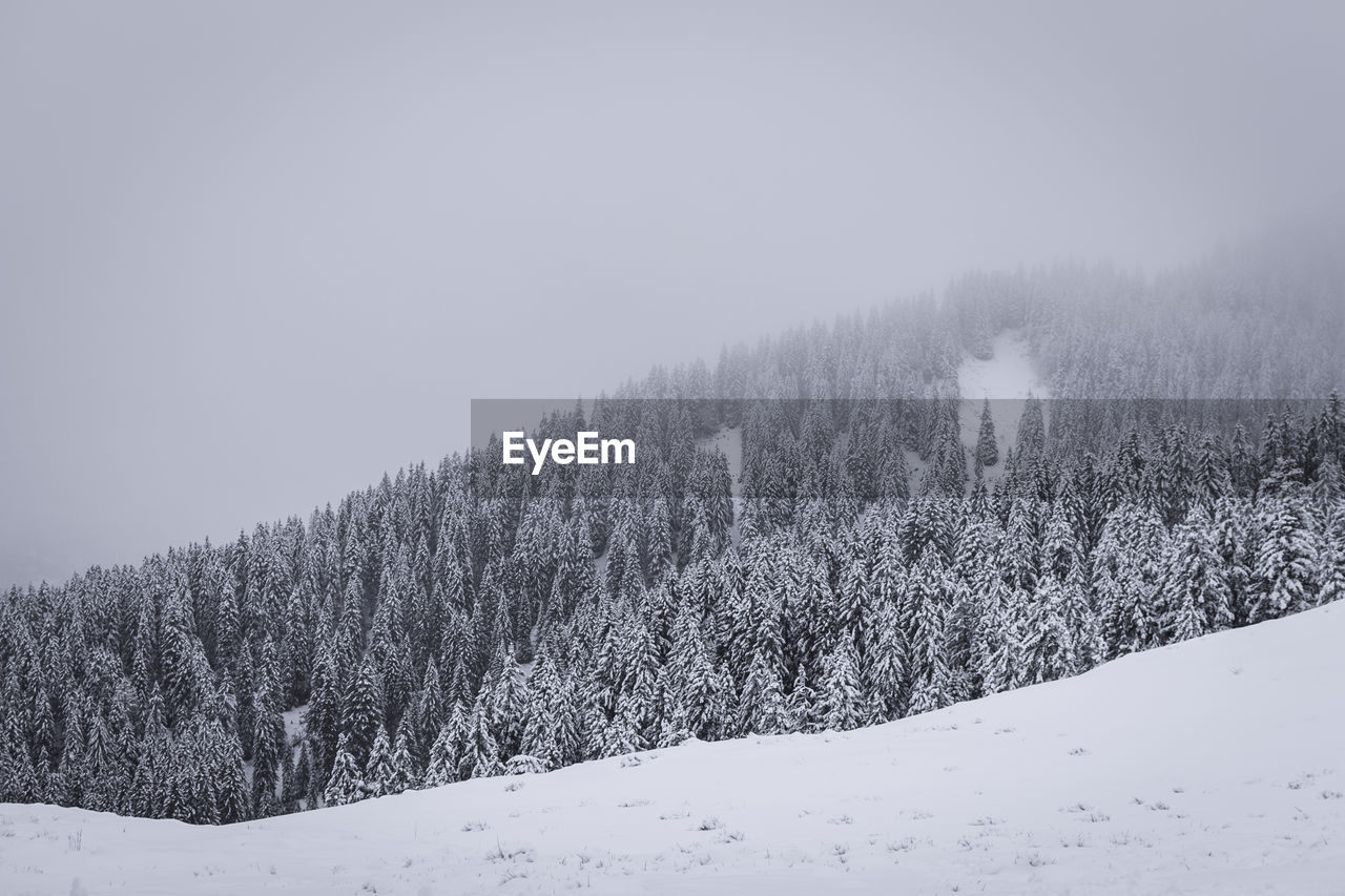 SNOW COVERED LAND AGAINST SKY