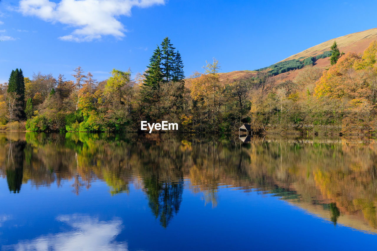 SCENIC VIEW OF LAKE BY TREES AGAINST SKY