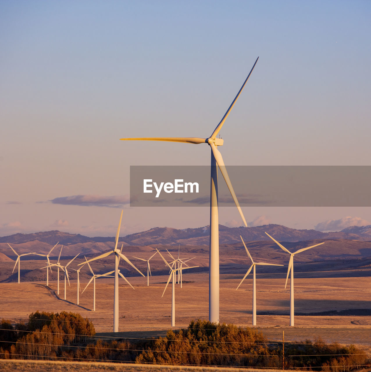 Wind turbines in a field with clear sky