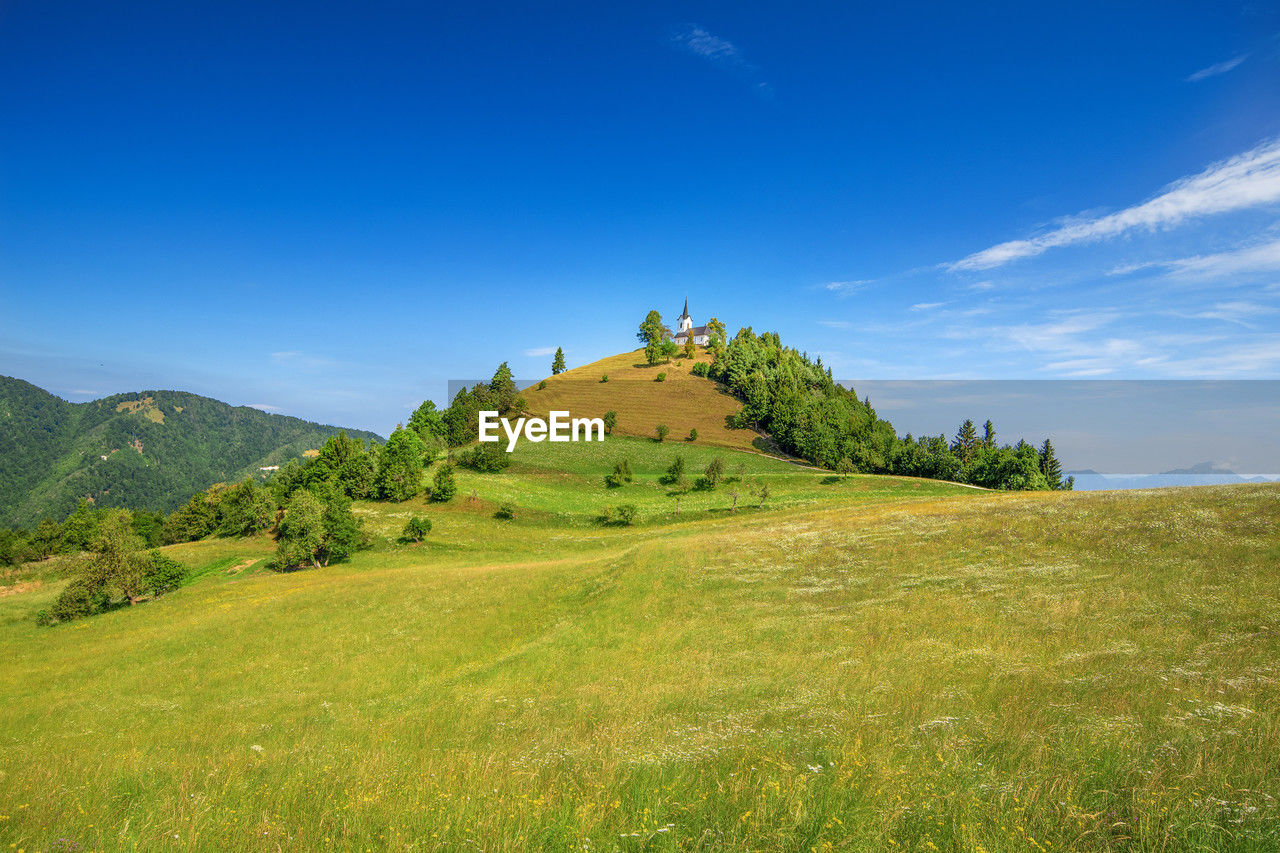 environment, landscape, sky, grassland, plant, land, meadow, scenics - nature, hill, nature, grass, mountain range, beauty in nature, blue, pasture, green, plateau, field, tranquility, travel destinations, rural scene, natural environment, travel, tree, non-urban scene, plain, no people, ridge, cloud, summer, tranquil scene, prairie, wilderness, rural area, tourism, architecture, outdoors, idyllic, clear sky, environmental conservation, sunlight, forest, building, highland, sunny, springtime, horizon, day, valley, activity, social issues, history