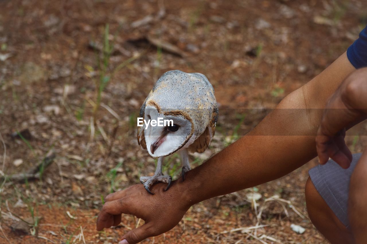 CLOSE-UP OF MAN HOLDING BIRD IN HAND