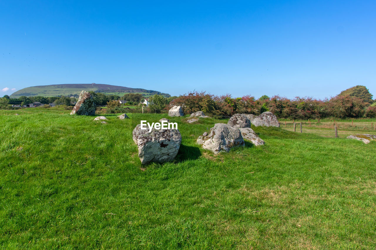 HAY BALES ON FIELD AGAINST SKY