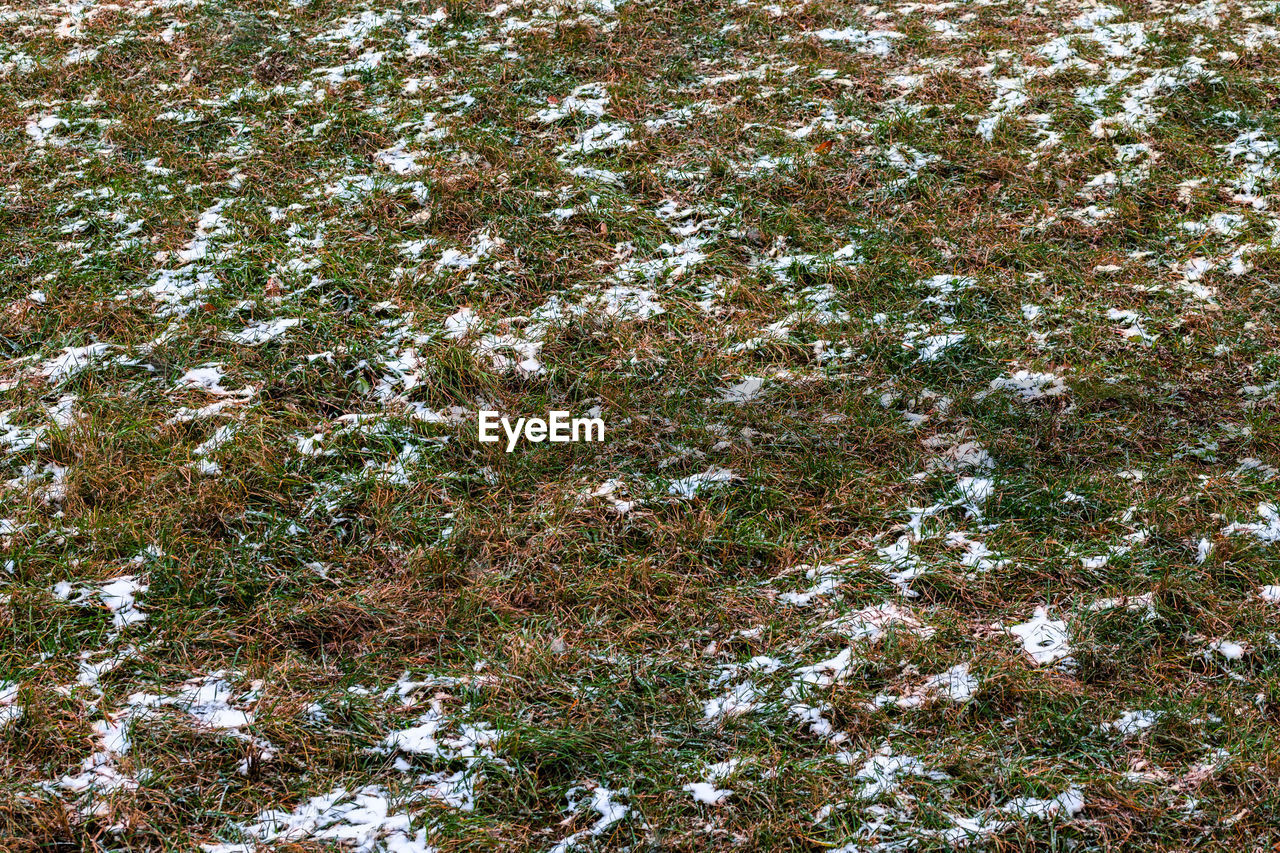 Full frame shot of first snow on grass field