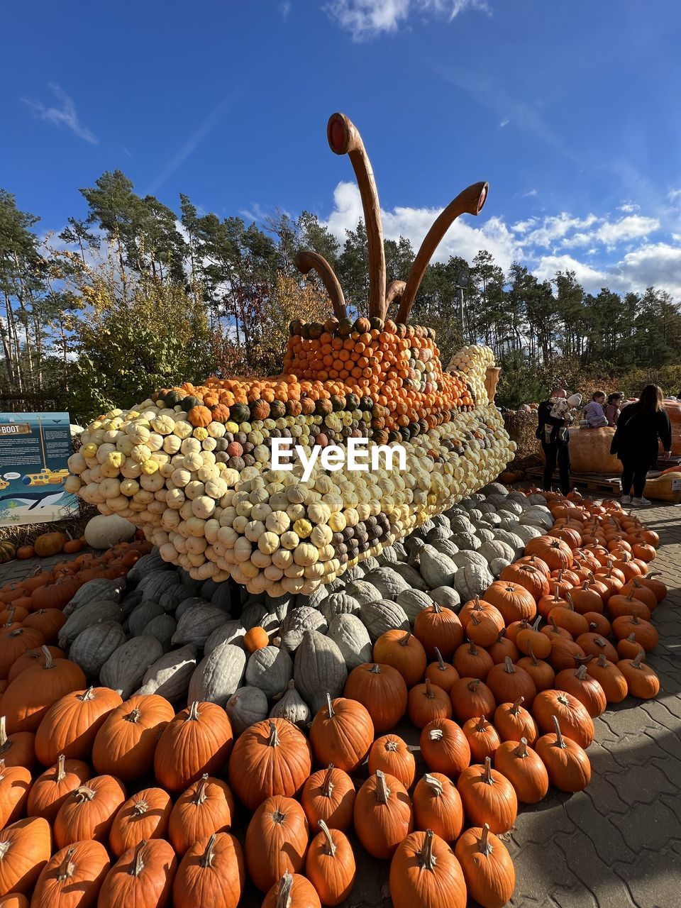 food and drink, nature, flower, food, sky, healthy eating, low angle view, fruit, no people, plant, day, large group of objects, outdoors, architecture, tree, freshness, abundance, sunlight, autumn, built structure