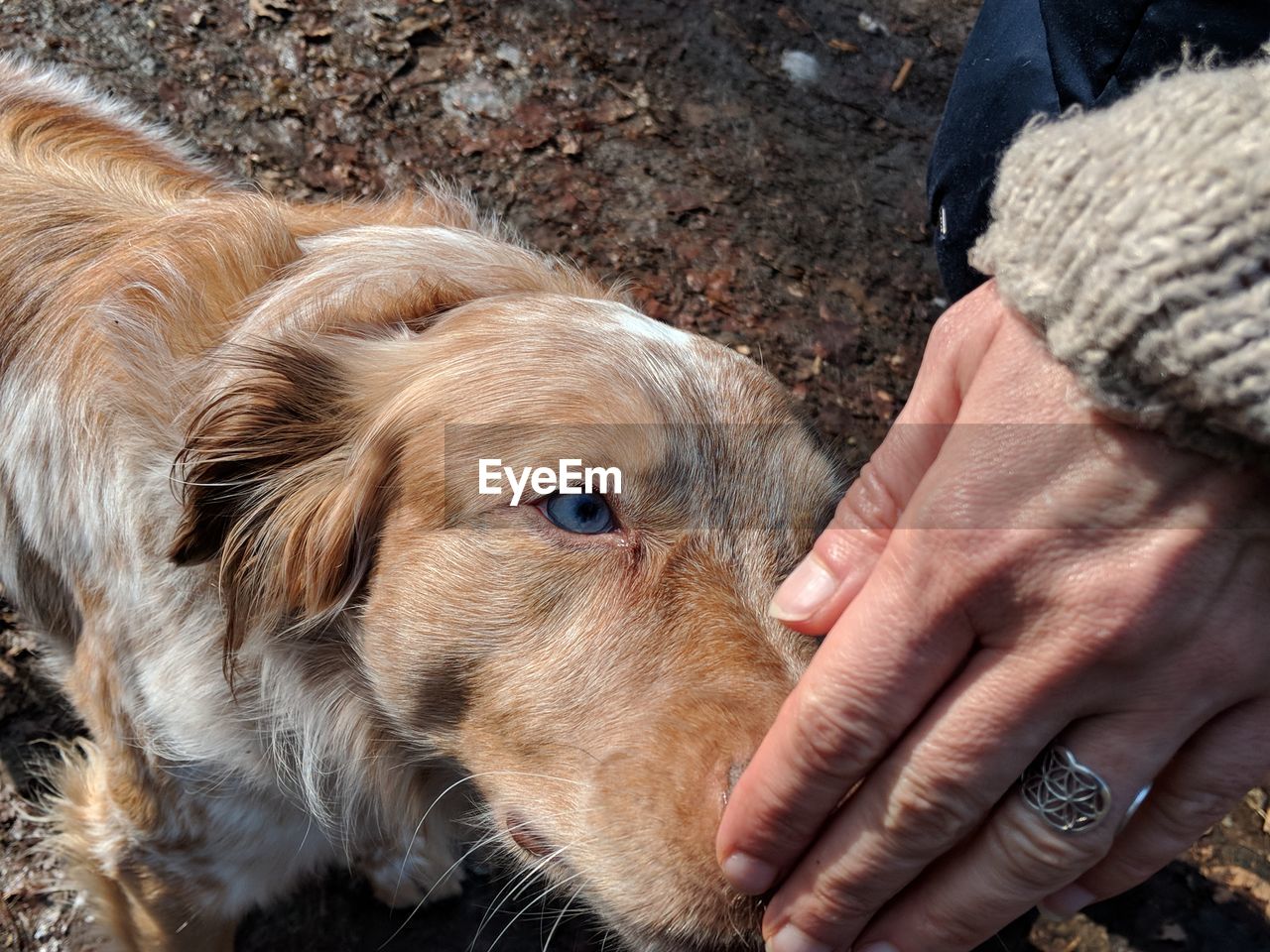 CLOSE-UP OF WOMAN HAND WITH DOG OUTDOORS