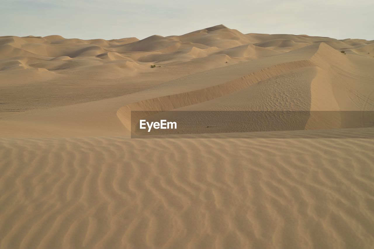 Sand dunes in desert against sky