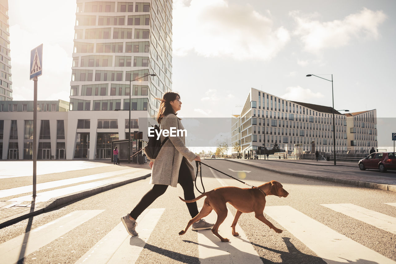 Side view of woman crossing road with dog on road in sunlight