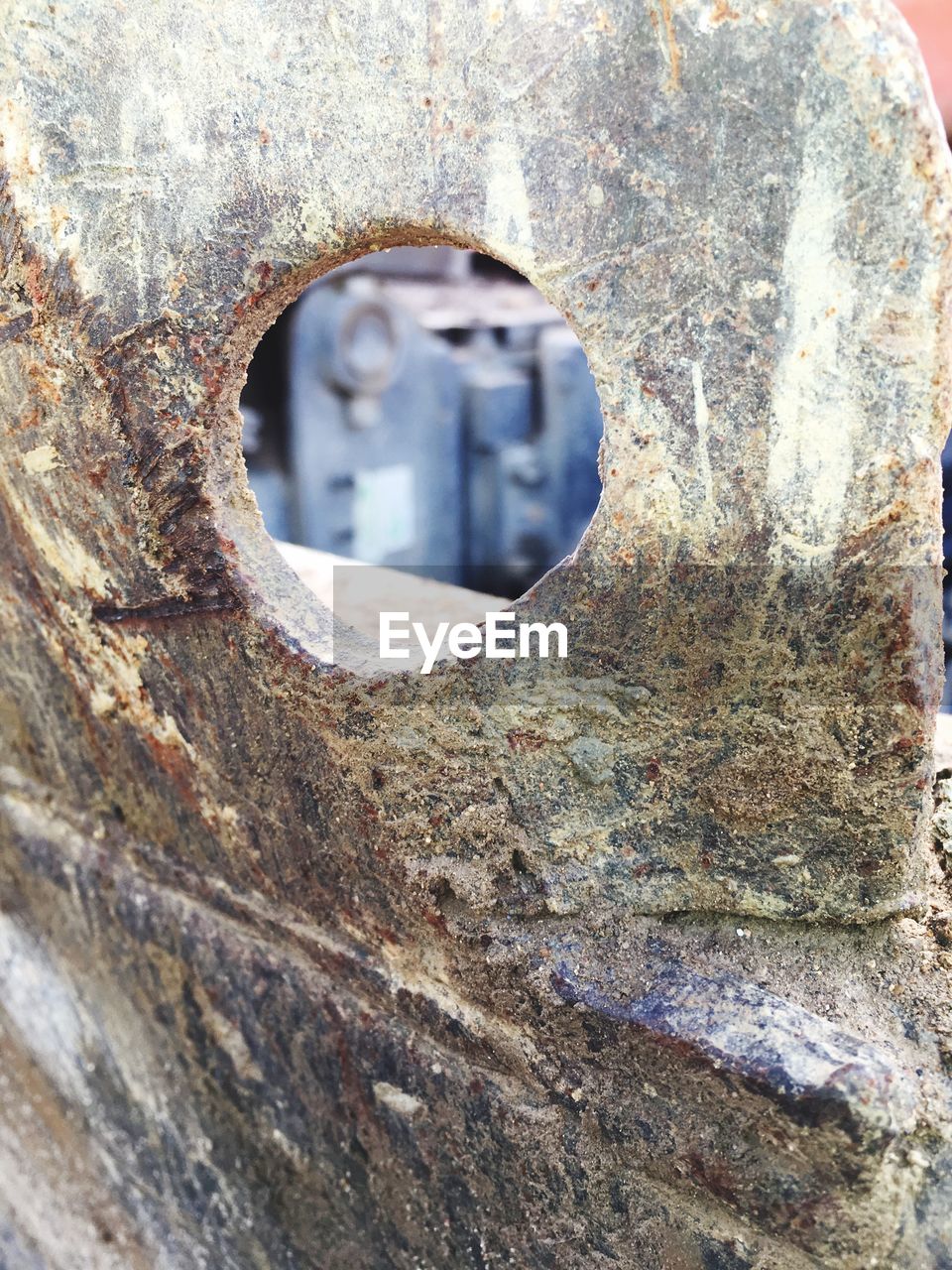 CLOSE-UP OF TREE TRUNK AGAINST BUILT STRUCTURE