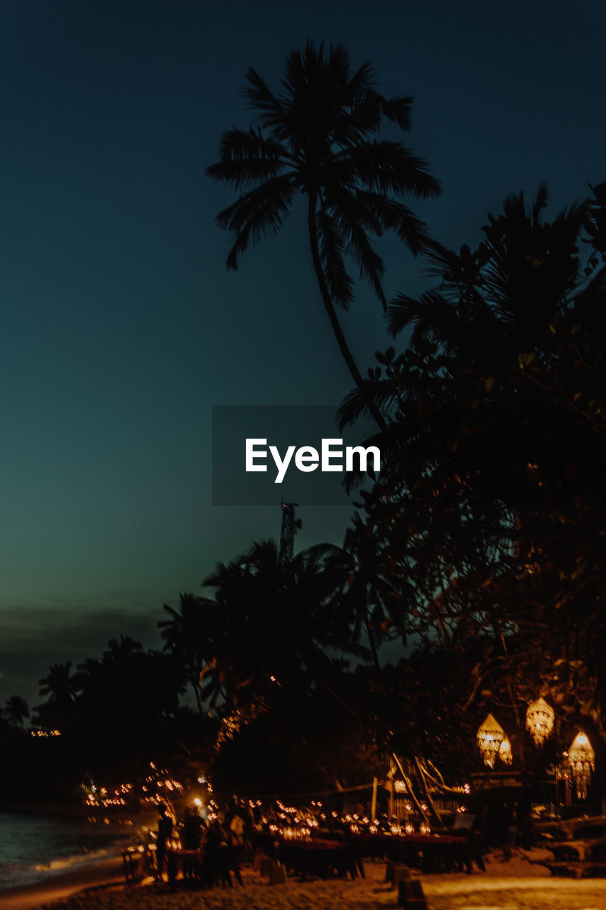 SILHOUETTE OF PALM TREES AT NIGHT