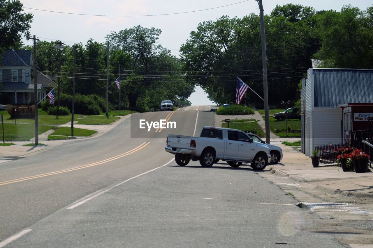 CARS ON ROAD AGAINST TREES