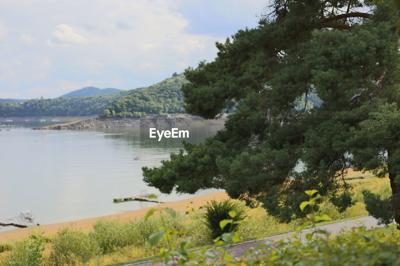 SCENIC VIEW OF MOUNTAINS AND TREES