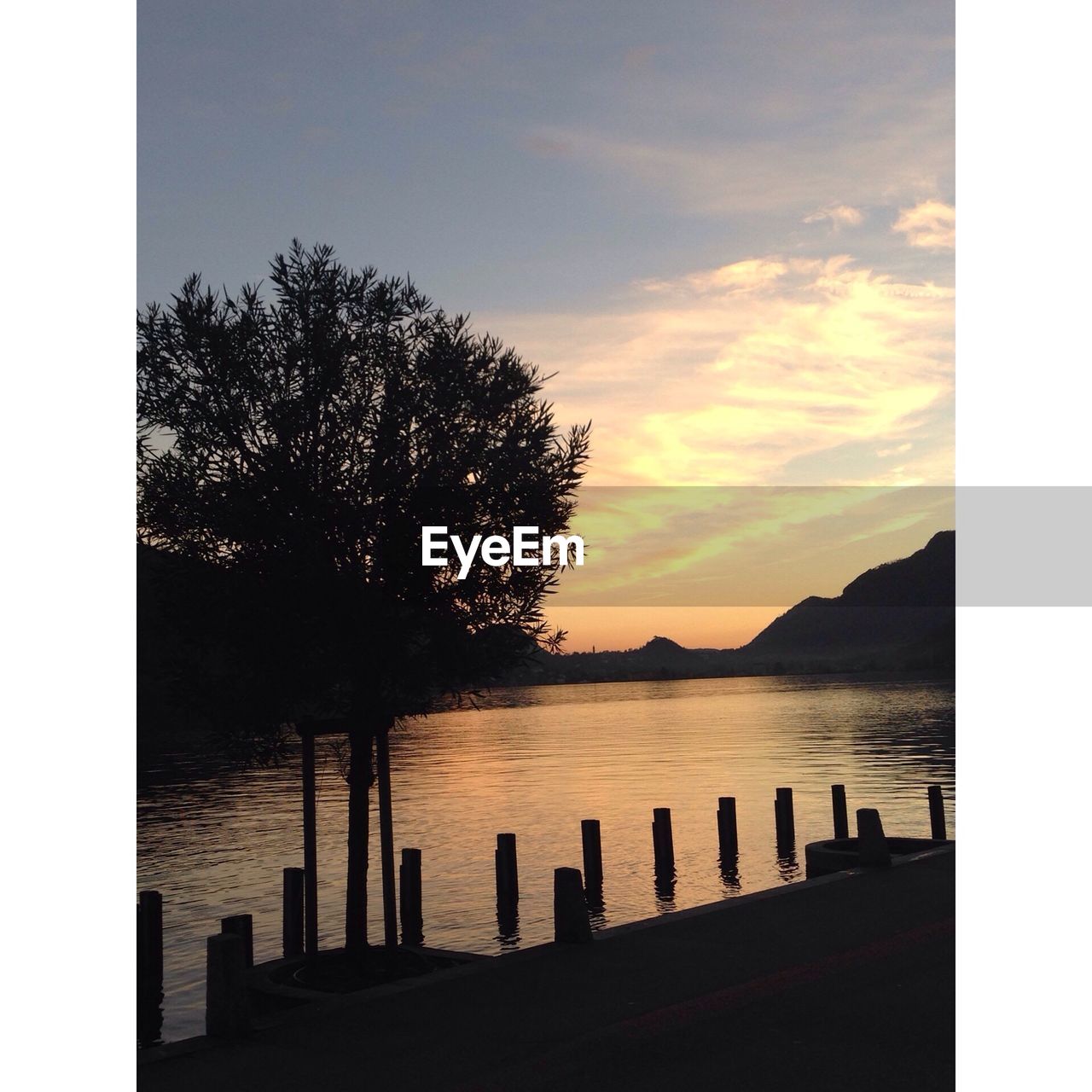 Scenic view of river by silhouette tree against sky during sunset