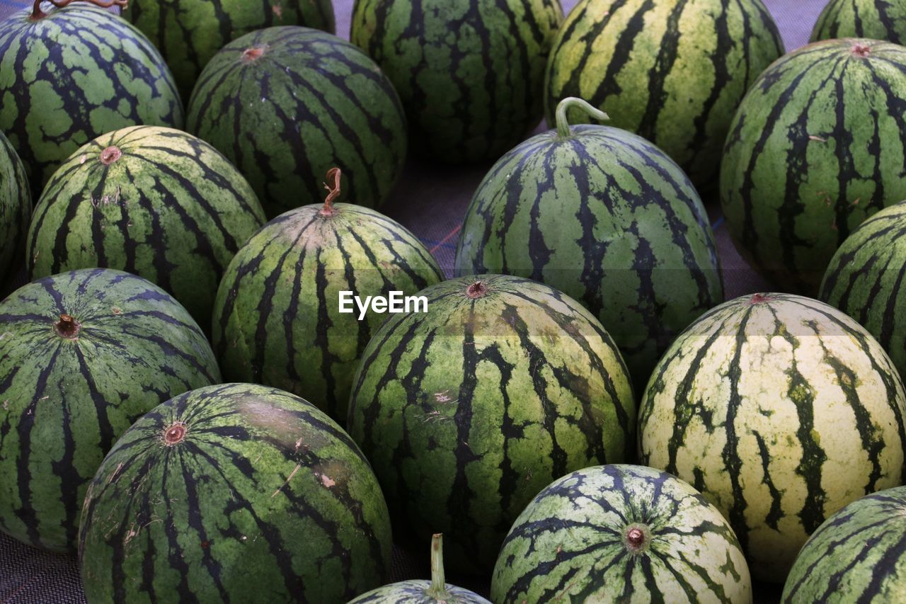 Watermelons for sale on the floor