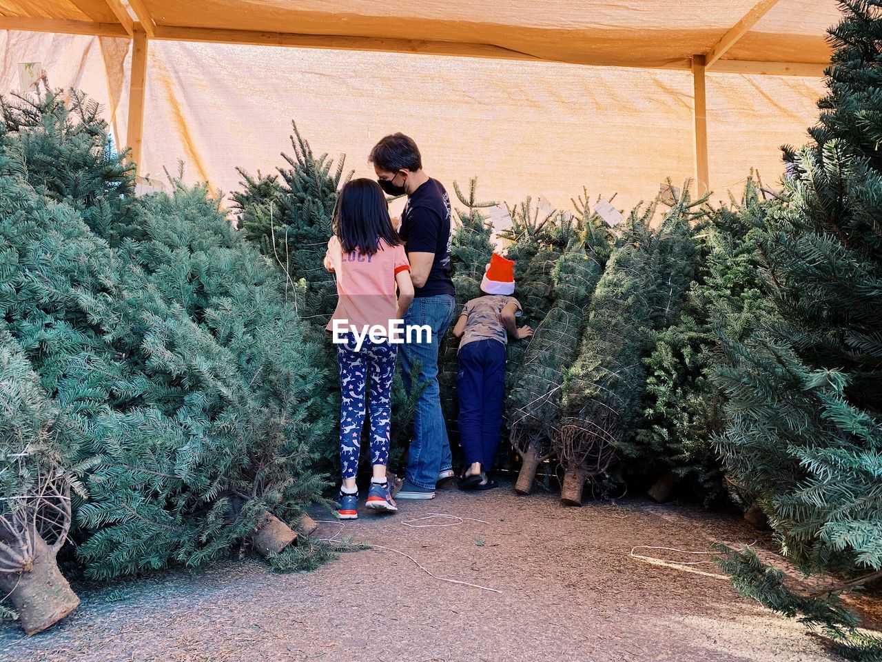 REAR VIEW OF TWO WOMEN STANDING BY PLANTS