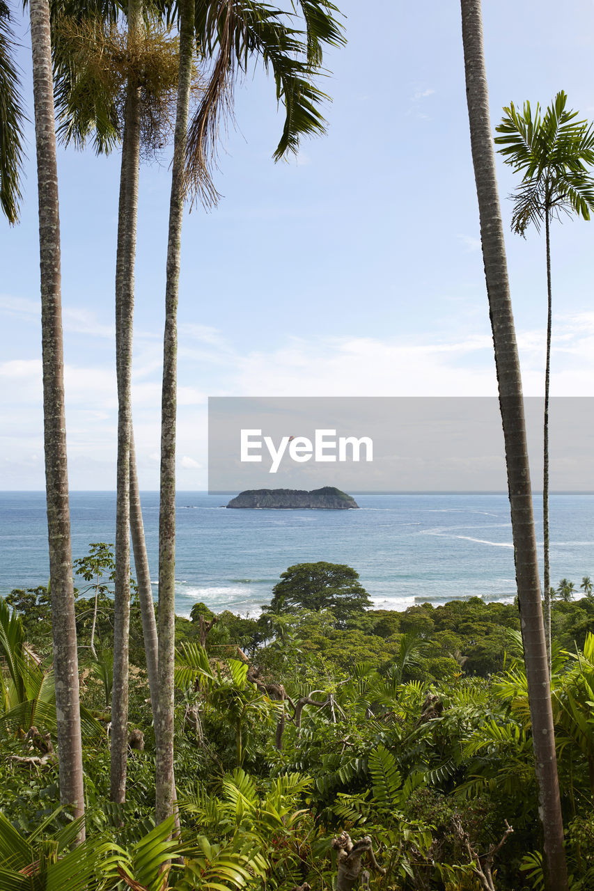 Elevated view of tropical beach and the jungle in manuel antonio, costa rica