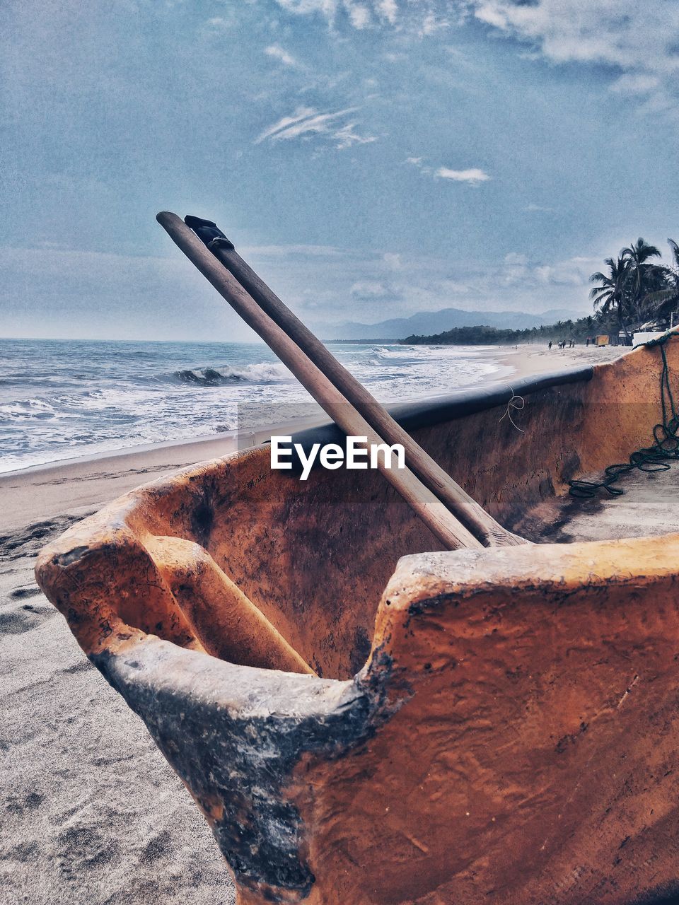 DRIFTWOOD ON BEACH AGAINST SEA