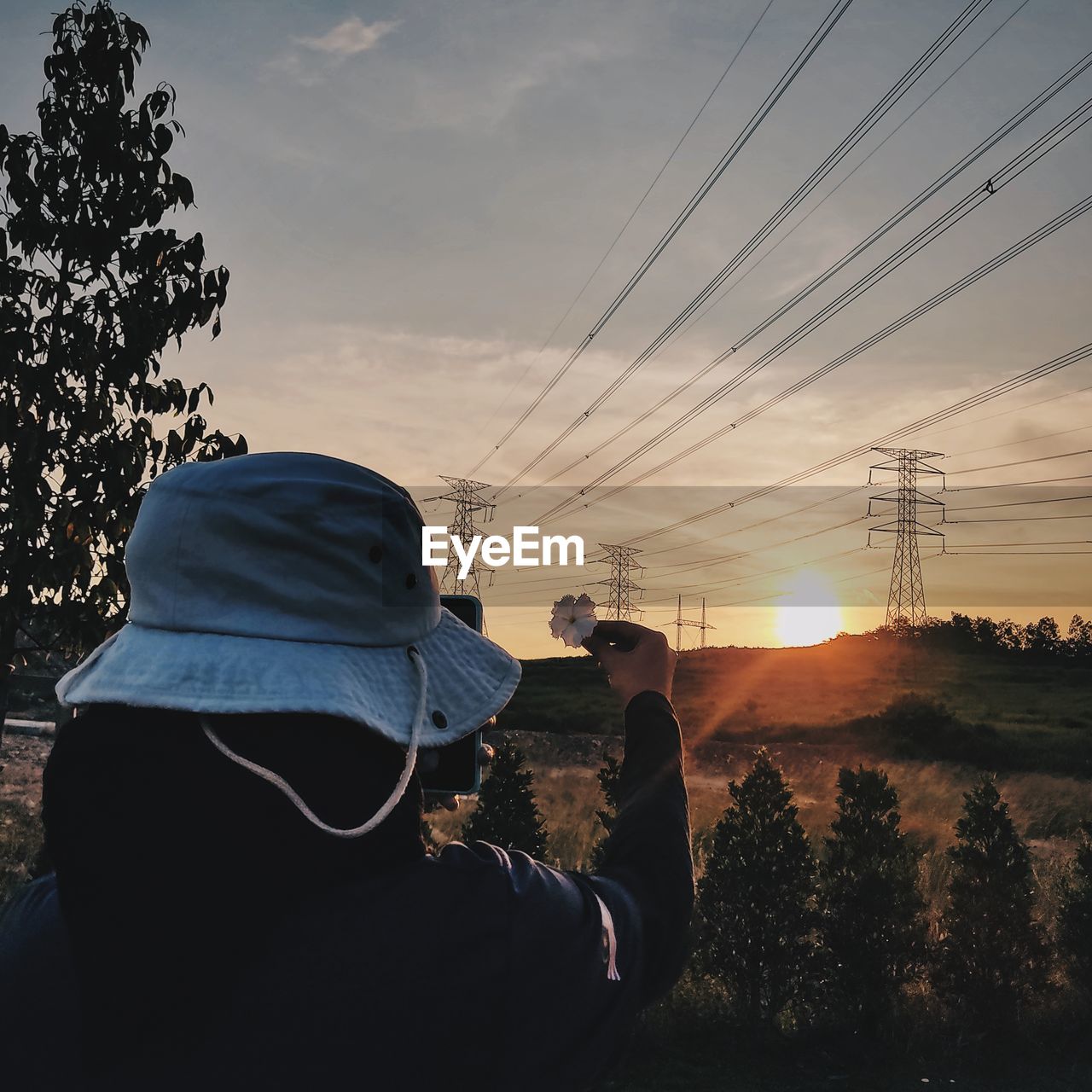 Rear view of woman holding flower against sky during sunset