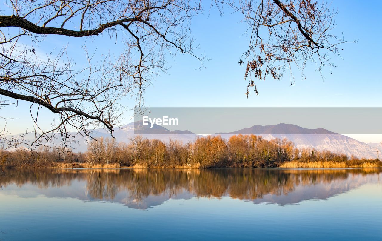 REFLECTION OF TREES IN LAKE AGAINST SKY