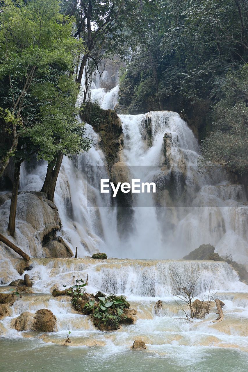 View of waterfall at forest