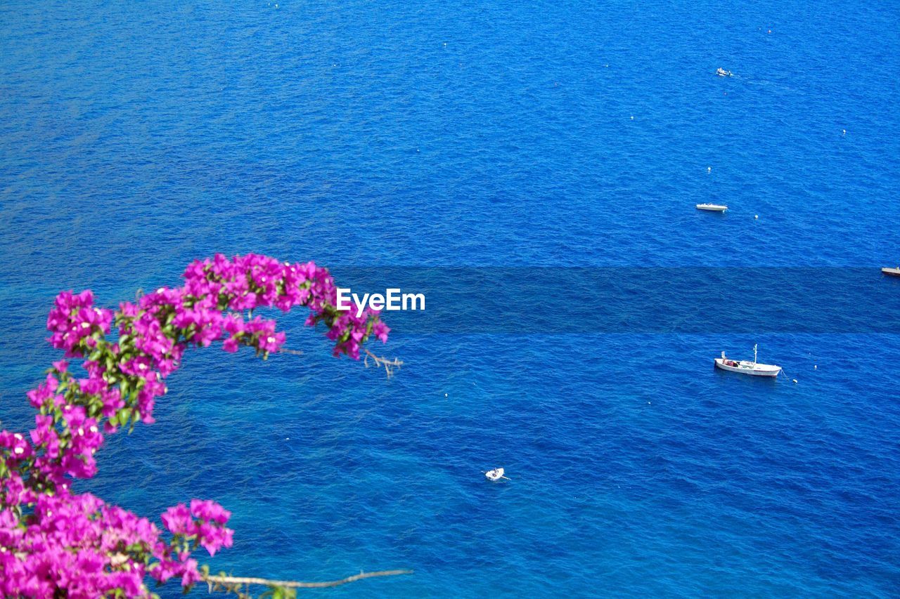 HIGH ANGLE VIEW OF PINK AND BLUE SEA