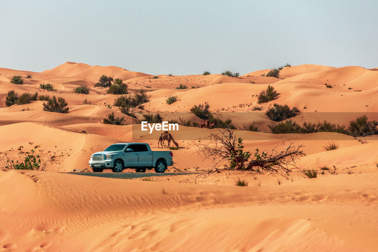 VIEW OF CAR IN DESERT