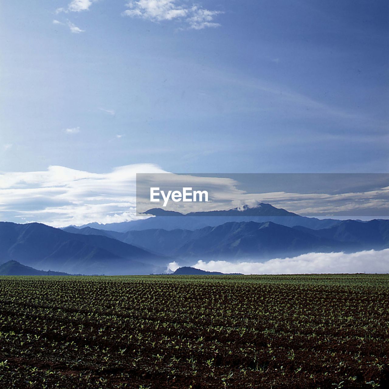 Farm by mountains against sky