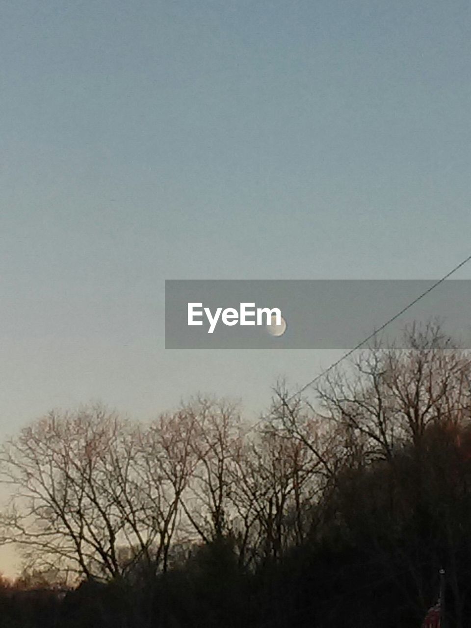 LOW ANGLE VIEW OF BARE TREES AGAINST THE SKY