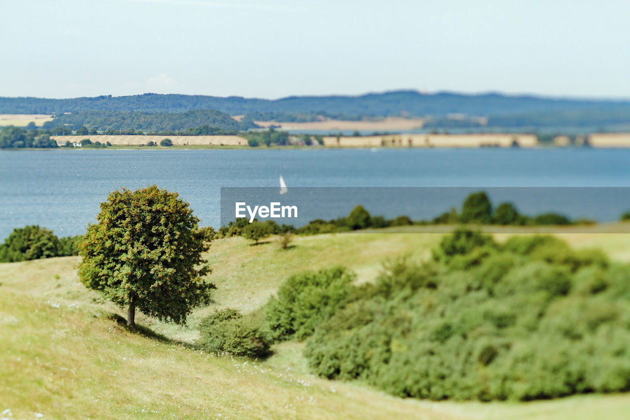 Scenic view of mountain range