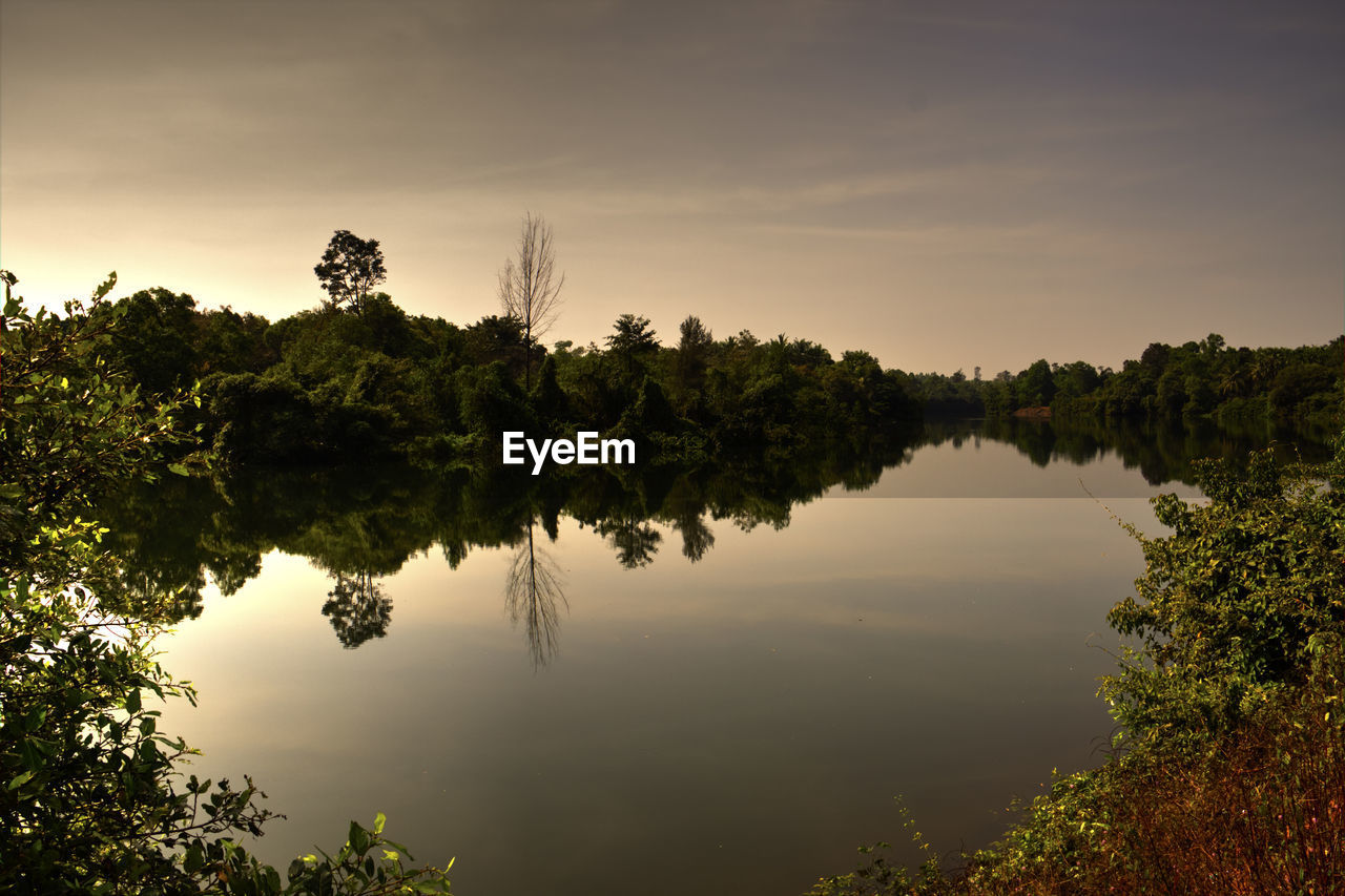 REFLECTION OF TREES ON LAKE AGAINST SKY