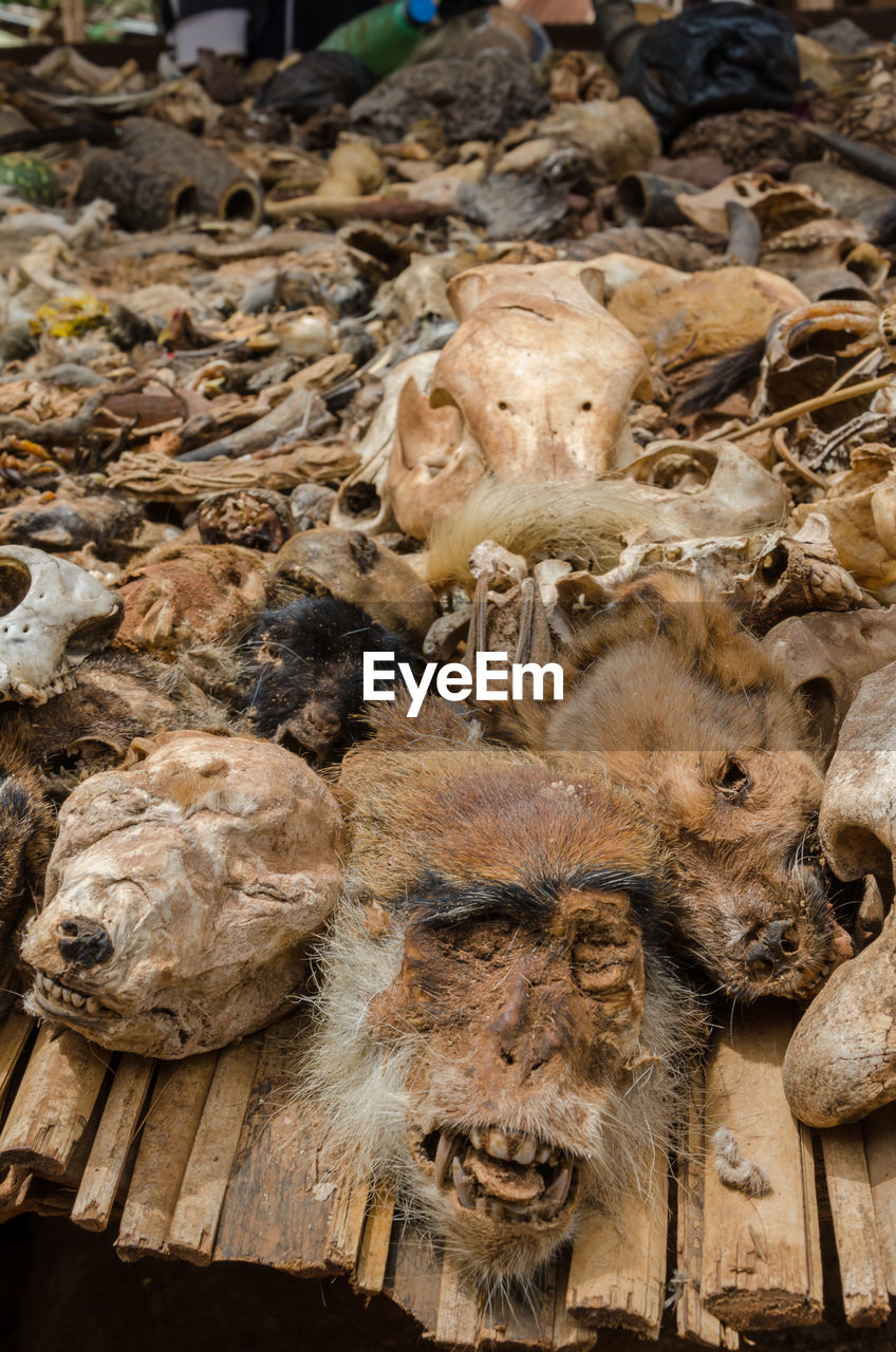 Close-up of dead animal parts for sale on vodoo market