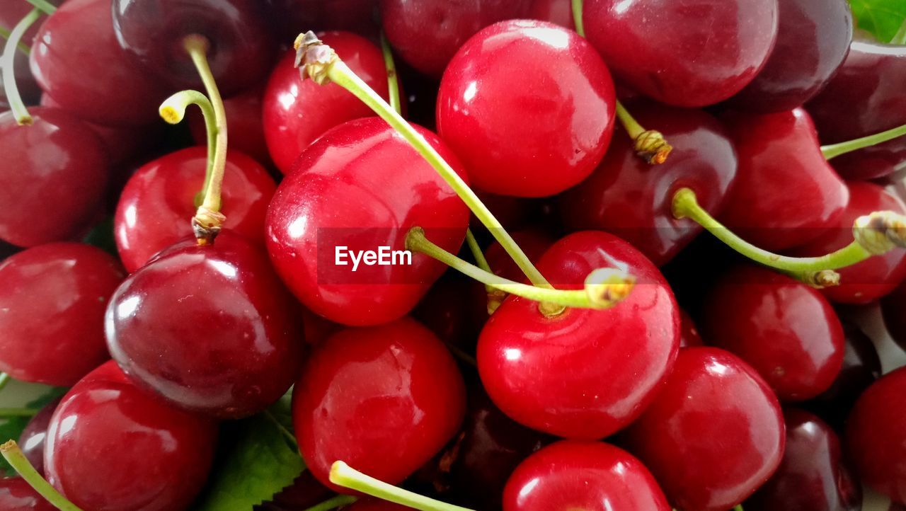 FULL FRAME SHOT OF RED CHERRIES