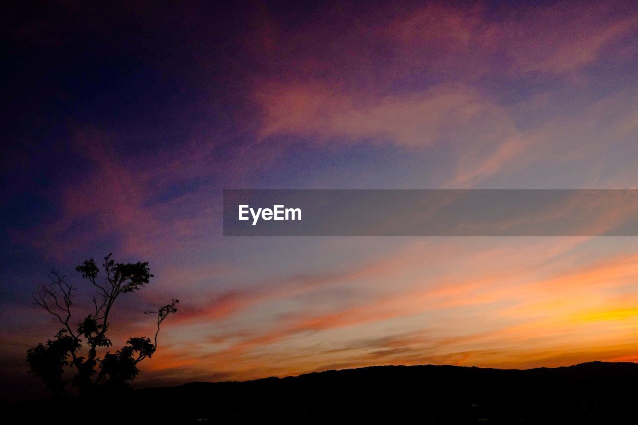 LOW ANGLE VIEW OF SILHOUETTE TREES AGAINST ROMANTIC SKY