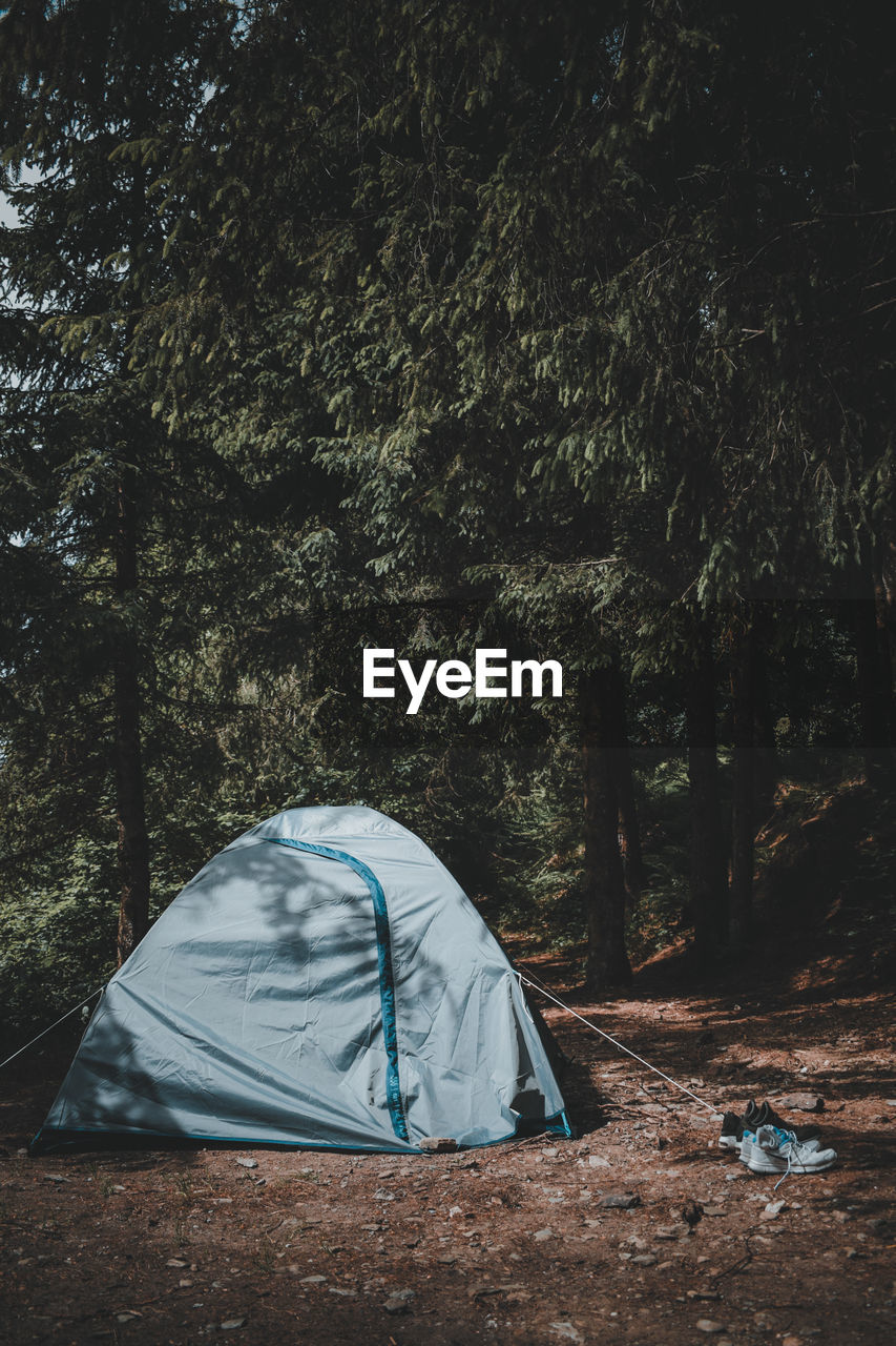 TENT ON FIELD BY TREES