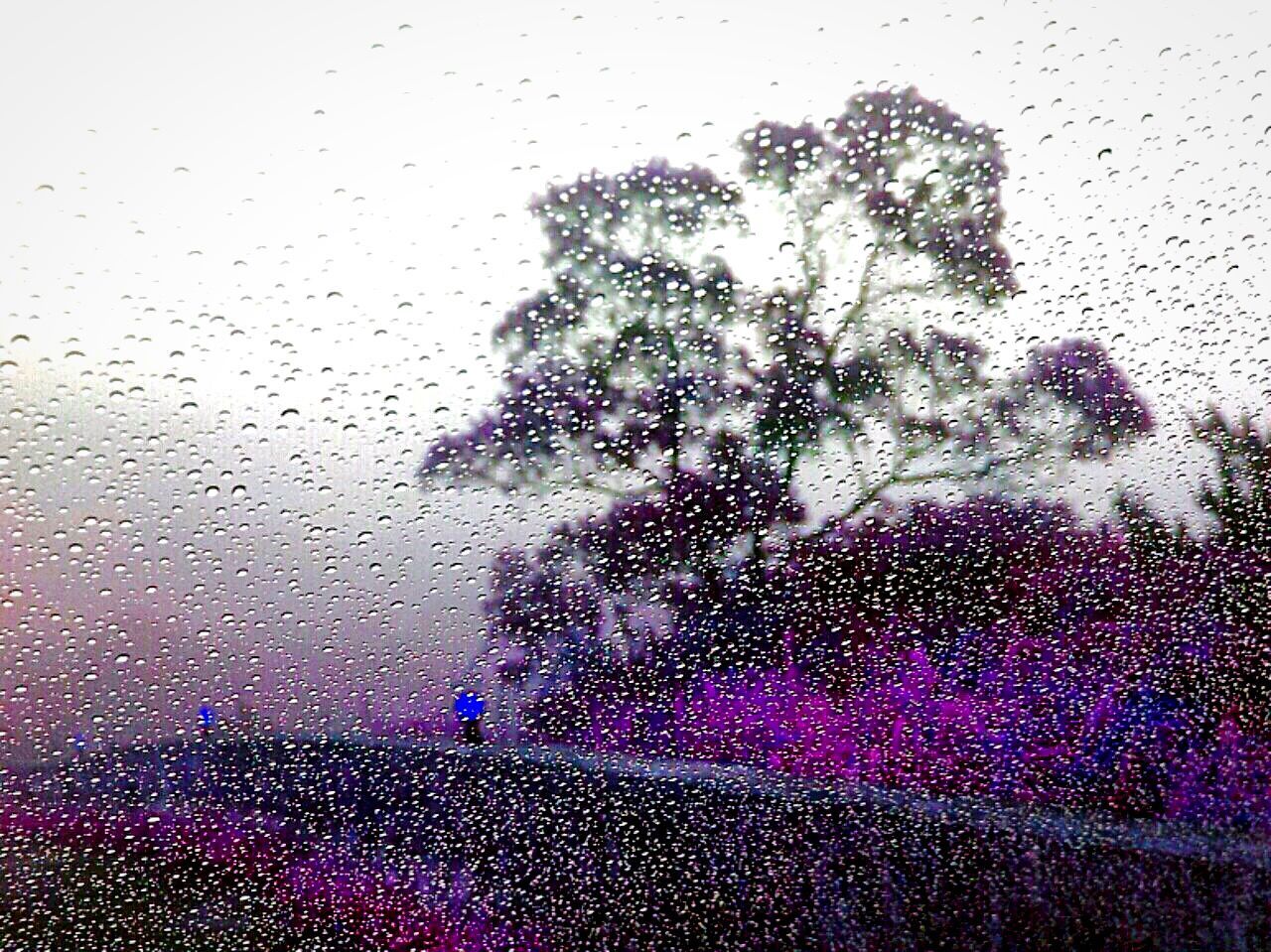 RAIN DROPS ON GLASS WINDOW