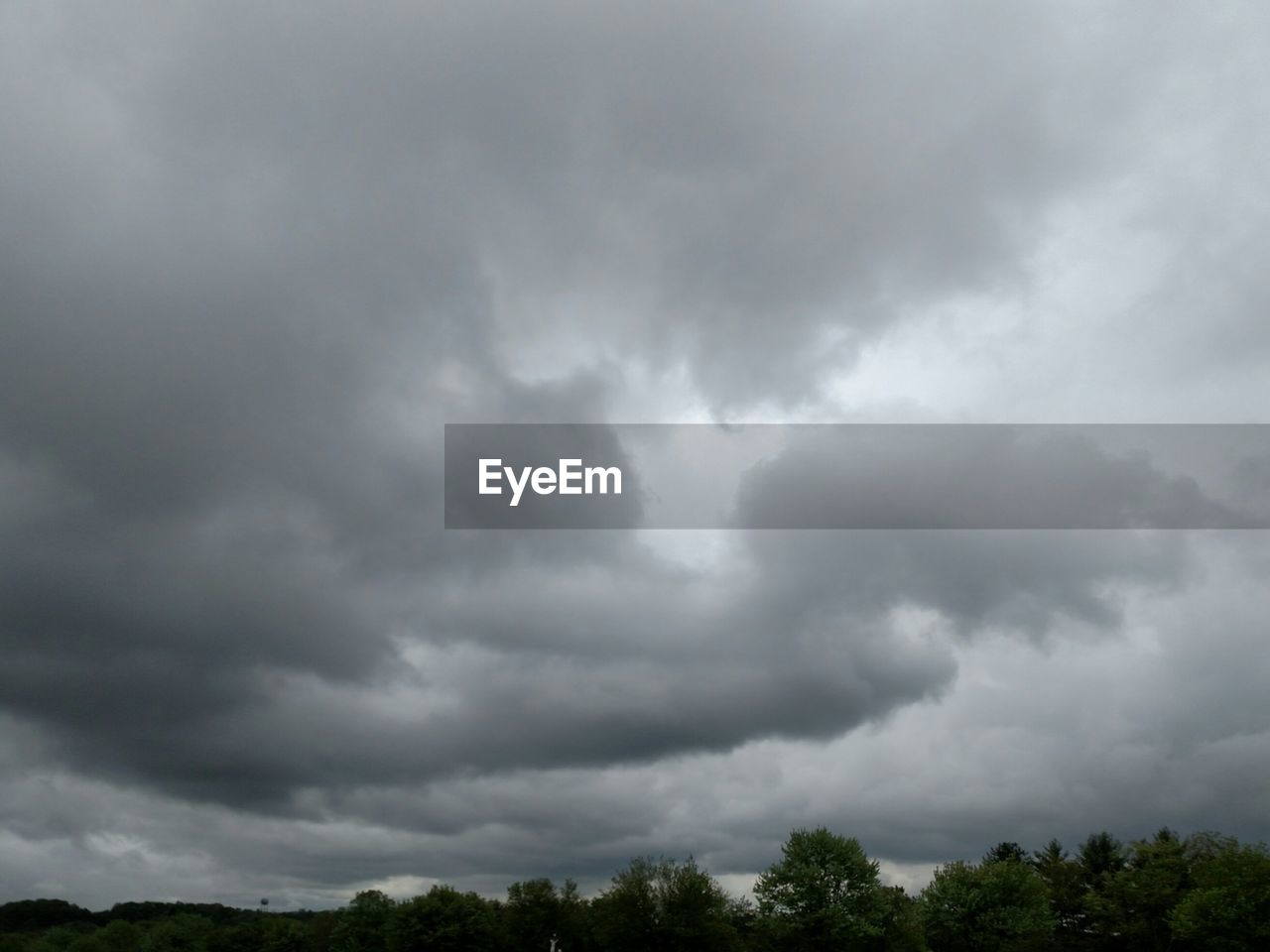 LOW ANGLE VIEW OF TREES AGAINST CLOUDY SKY