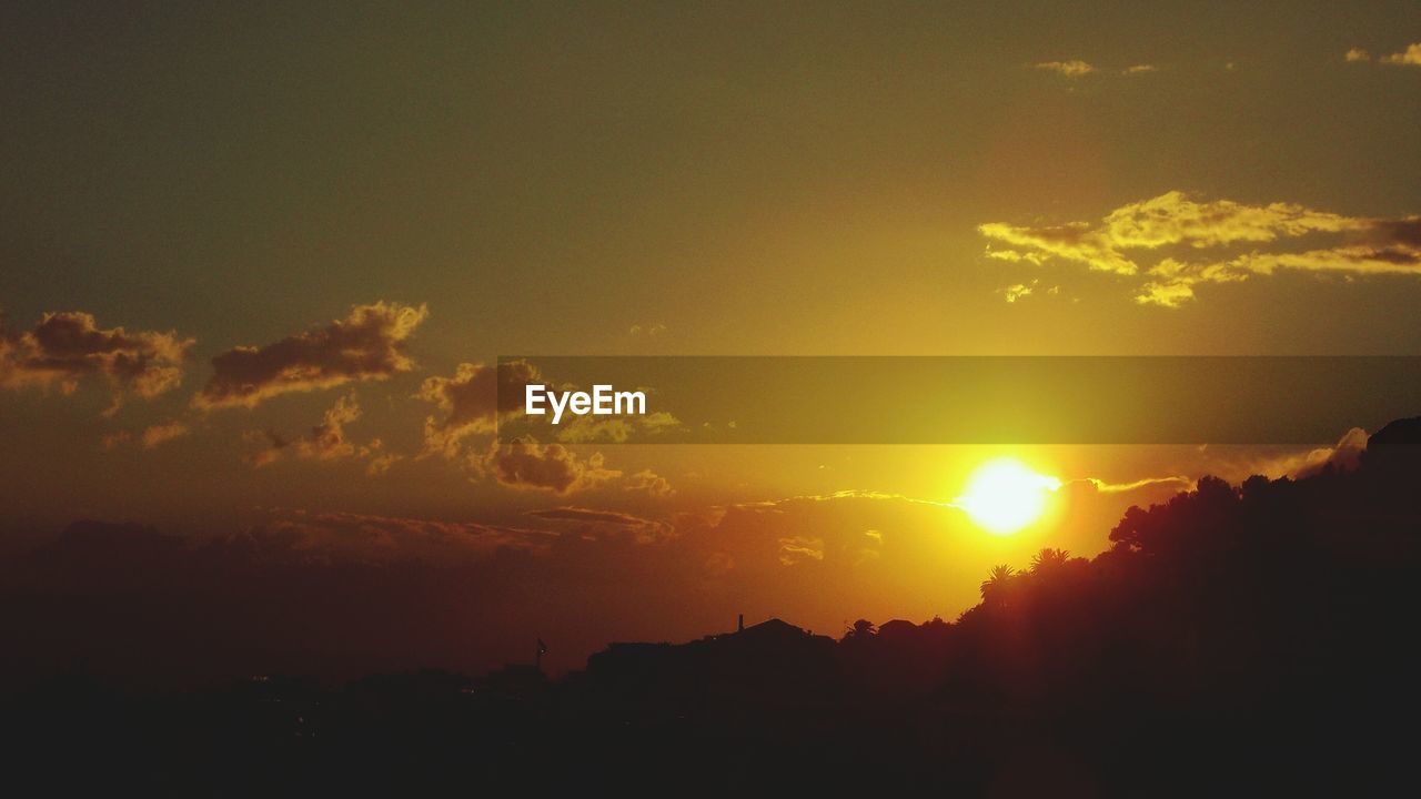 SILHOUETTE OF TREES AT SUNSET