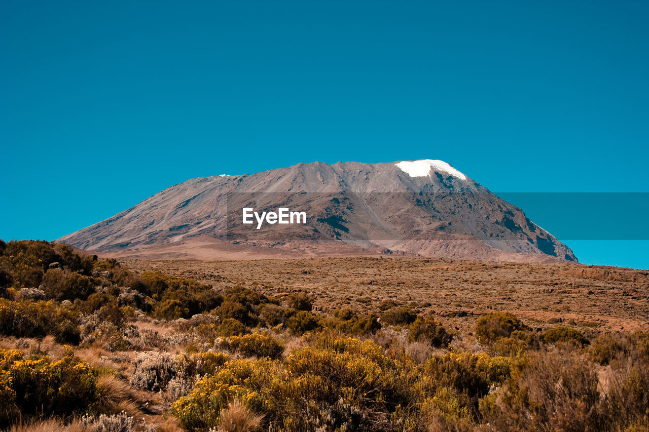 Mount kilimanjaro, moshi