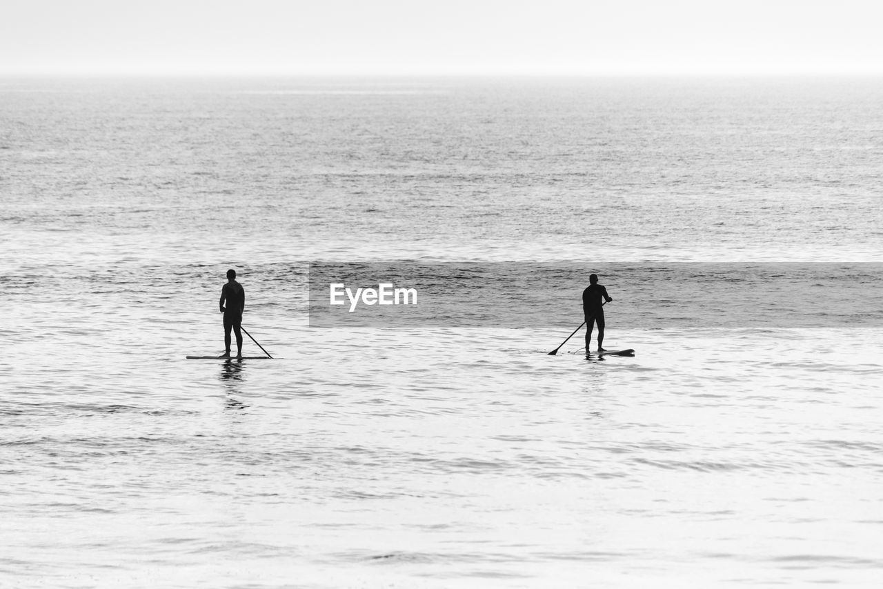 Men paddleboarding in sea against sky