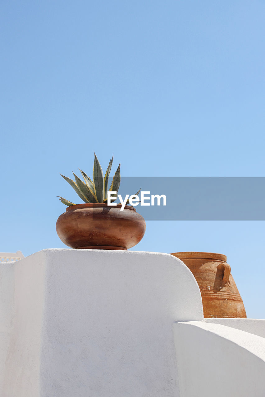 Low angle view of potted plant against clear blue sky