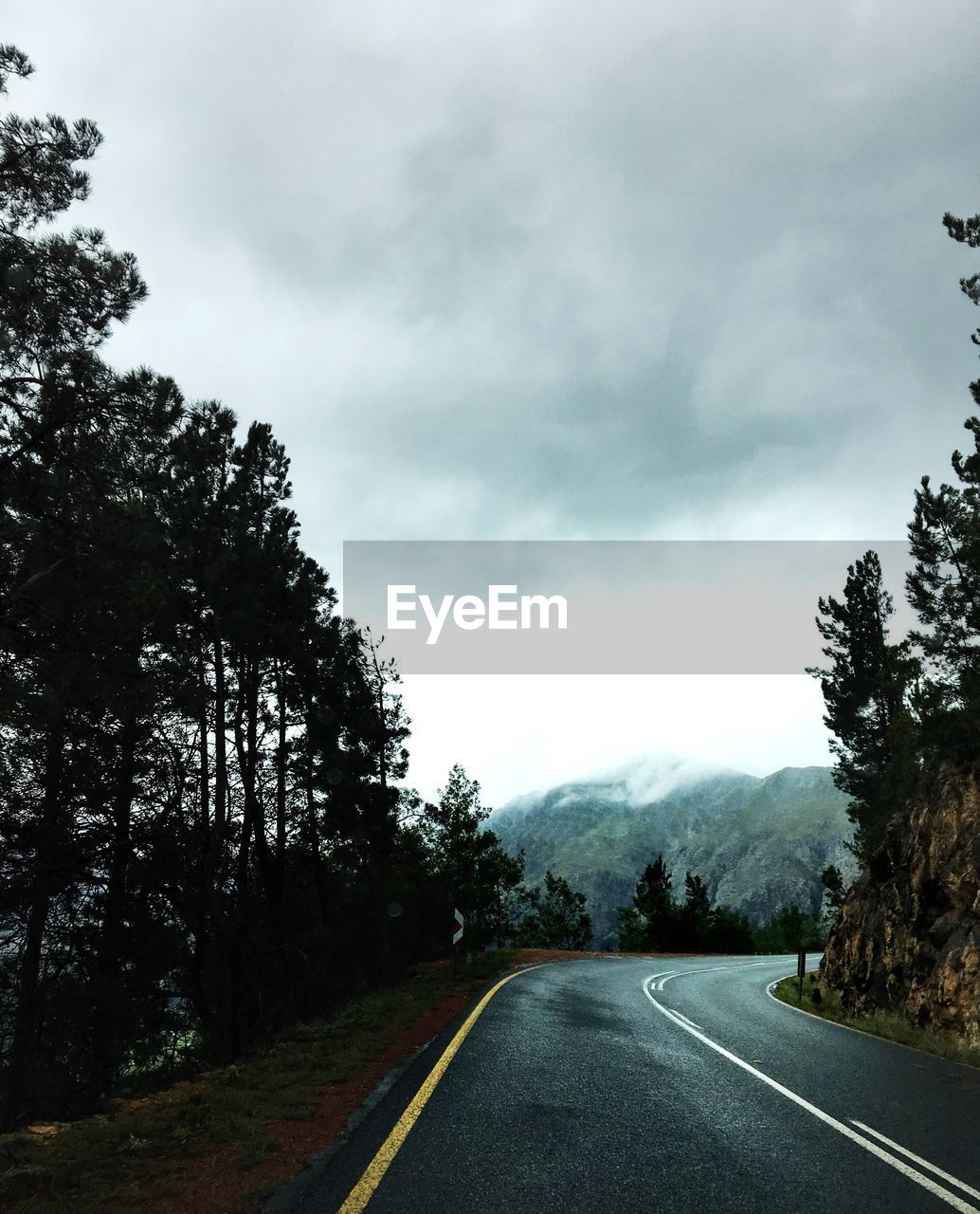 Road by trees against sky