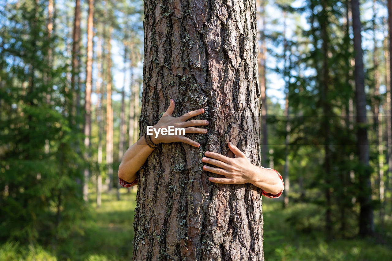 midsection of woman touching tree trunk in forest